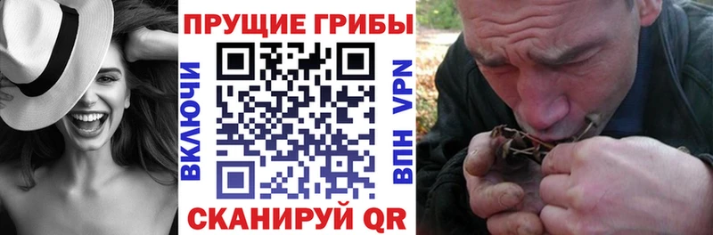 Галлюциногенные грибы Magic Shrooms  Малая Вишера 